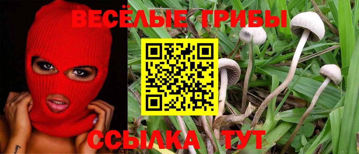 где можно купить   Галлюциногенные грибы GOLDEN TEACHER  Псилоцибиновые грибы мухоморы  Вход с VPN  Мыски 