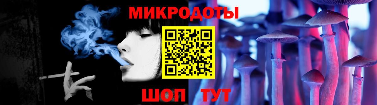Псилоцибиновые грибы Psilocybe Мыски